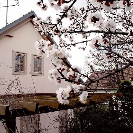 Ubytovani U Krizu Bulhary Dış mekan fotoğraf