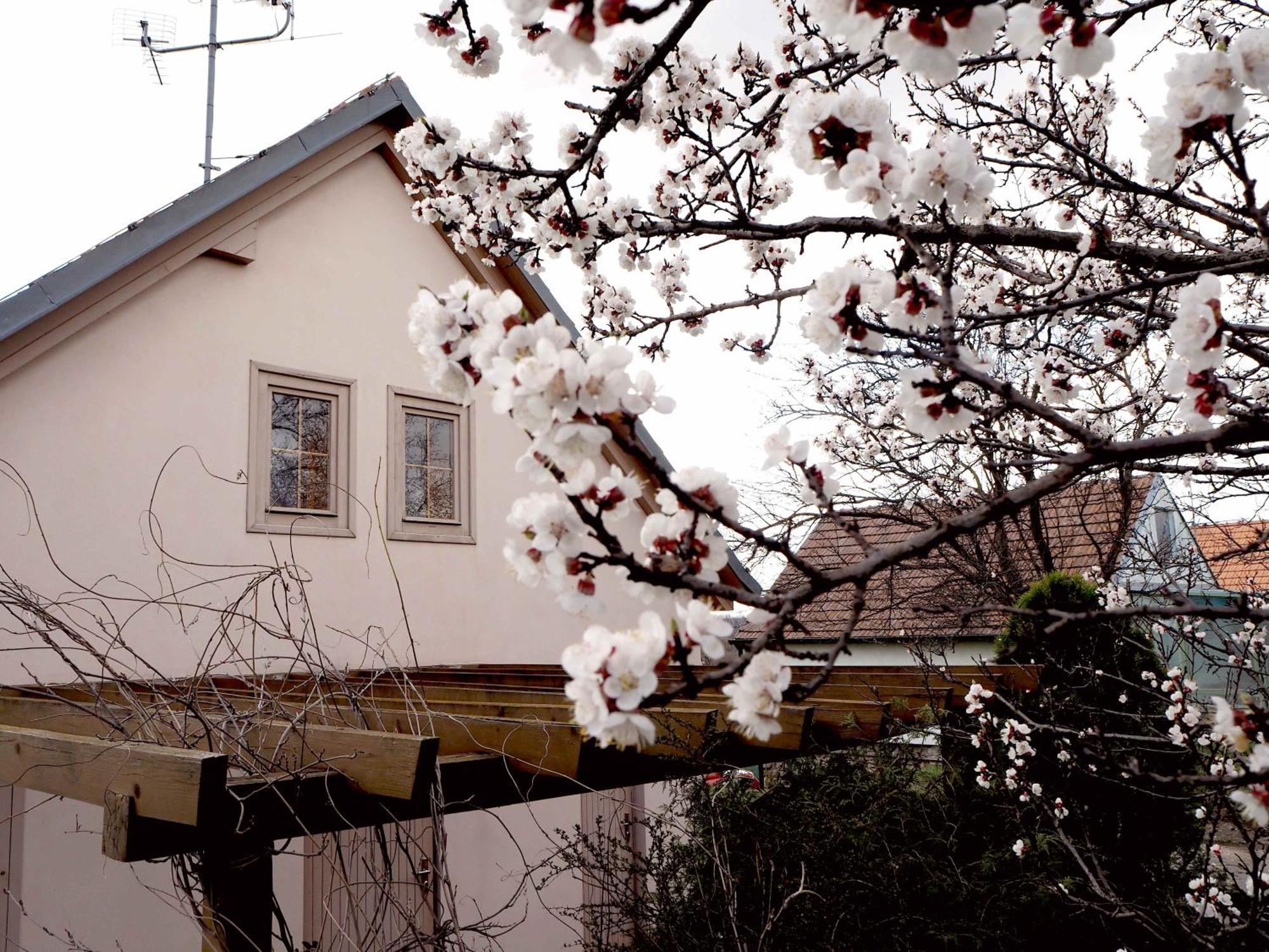 Ubytovani U Krizu Bulhary Dış mekan fotoğraf