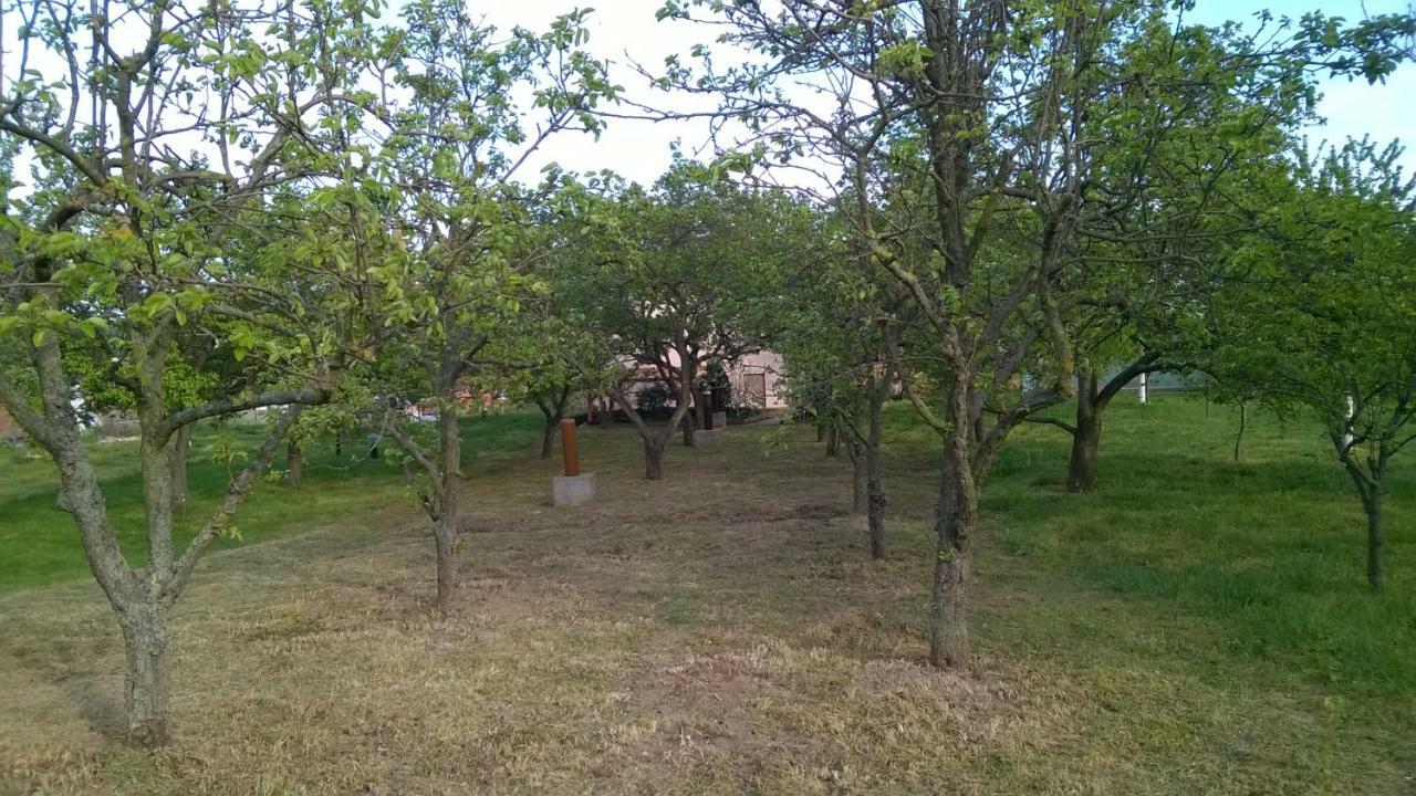 Ubytovani U Krizu Bulhary Dış mekan fotoğraf